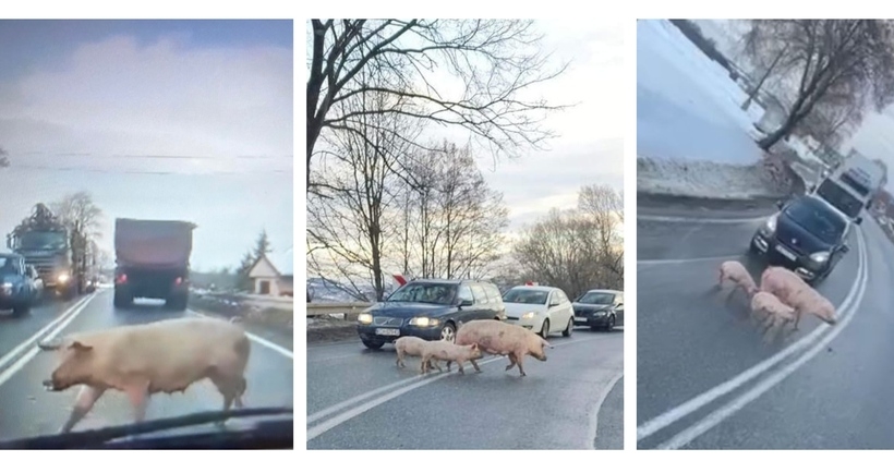 Fot. Facebook.com/ Sabina, Patryk, Jakub