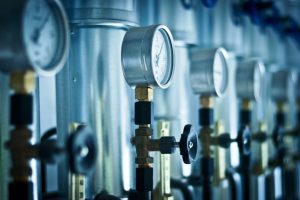 Fot. Materiał promocyjny reklamodawcy