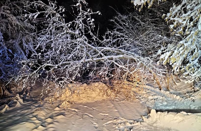 Fot. Facebook/ OSP Lanckorona