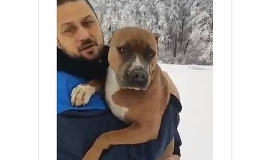 Fot. Facebook/ Joanna Dźwigoń