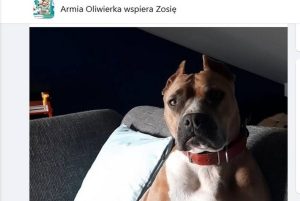 Fot. Facebook/ Armia Oliwierka wspiera Zosię