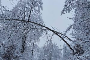 Fot. Facebook/ Tauron Polska Energia