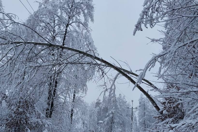 Fot. Facebook/ Tauron Polska Energia