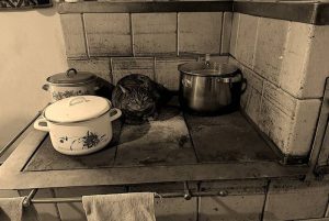 Fot. materiał prasowy portalu Sucha24.pl