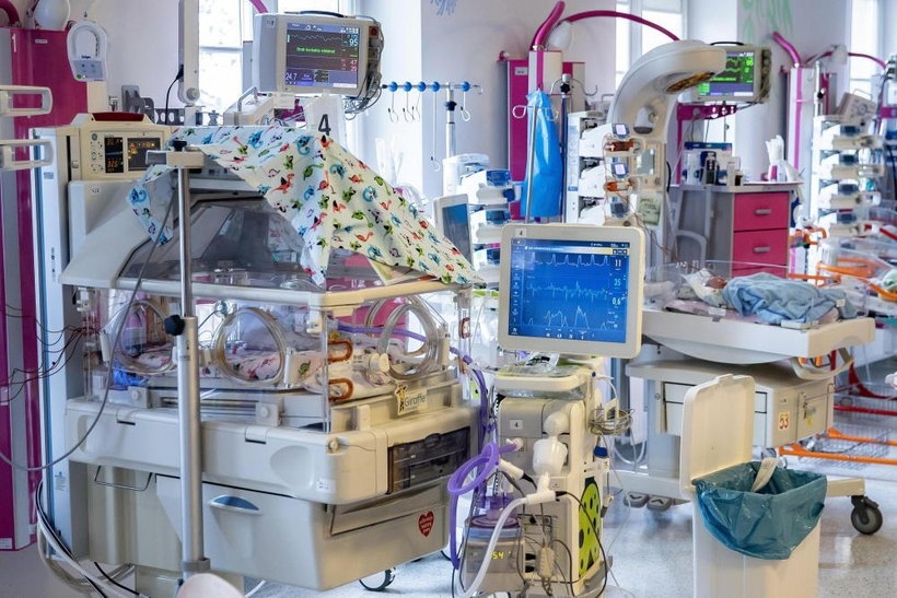 Fot. PAP/Łukasz Gągulski