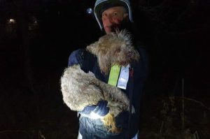 Fot. Facebook/ OSP w Zebrzydowicach