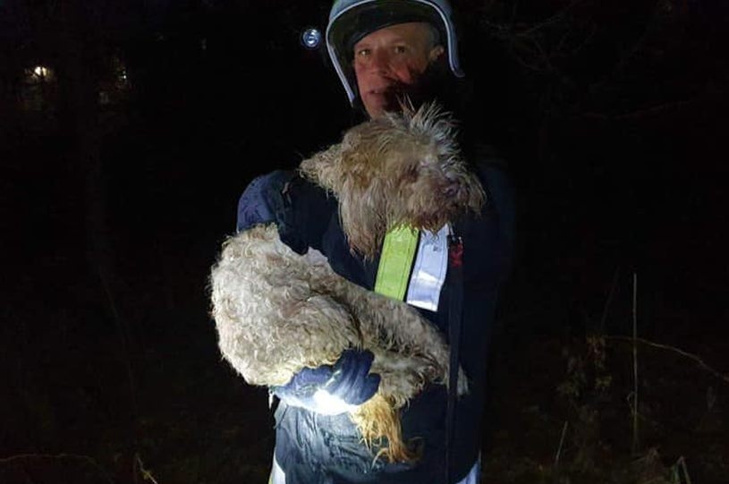 Fot. Facebook/ OSP w Zebrzydowicach