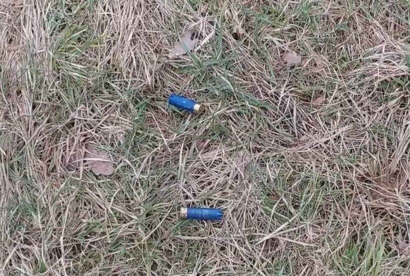 Fot.kadr z filmu na grupie Facebook/Obywatele i sympatycy gminy Brzeźnica