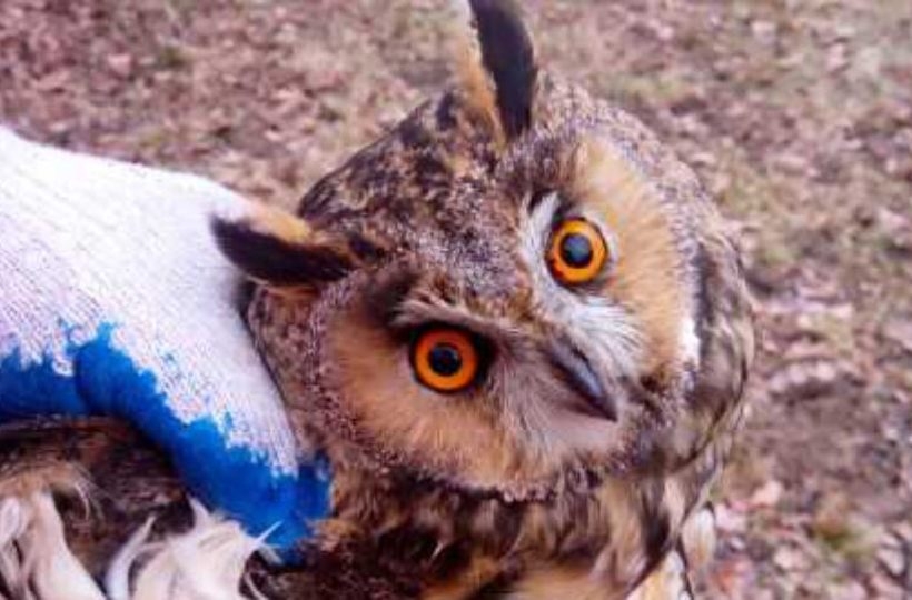 Fot. Nowiny Andrychowskie