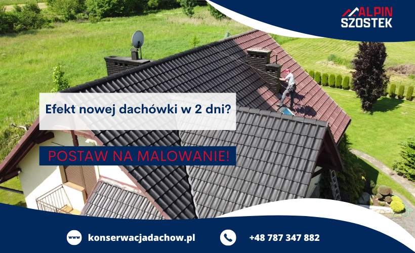 Fot. Materiał promocyjny reklamodawcy