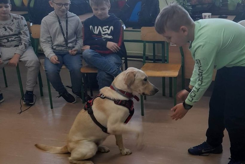 Fot. Facebook/ Szkoła Podstawowa nr 2 im. Bohaterów Monte Cassino w Kętach