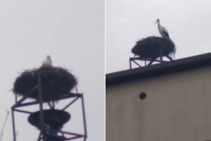 Fot. facebook.com/KSRGOSPSpytkowice