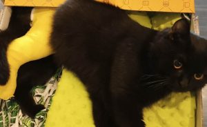 Fot. zrzutka.pl/Ksawery