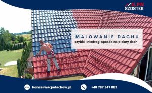 Fot. materiał prasowy reklamodawcy