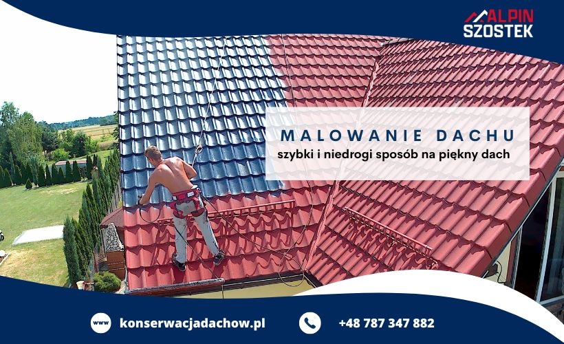 Fot. materiał prasowy reklamodawcy