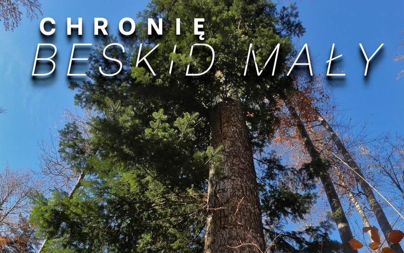 Fot. Materiał Prasowy