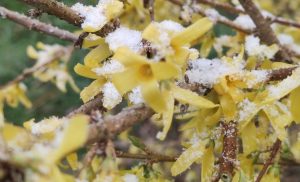 Fot. Angelina Rokowska