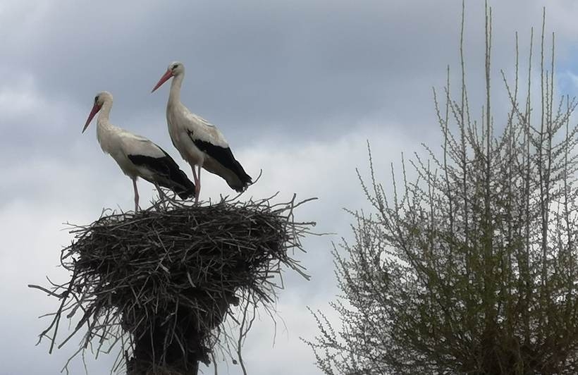 Fot. Karina Płaszczyca