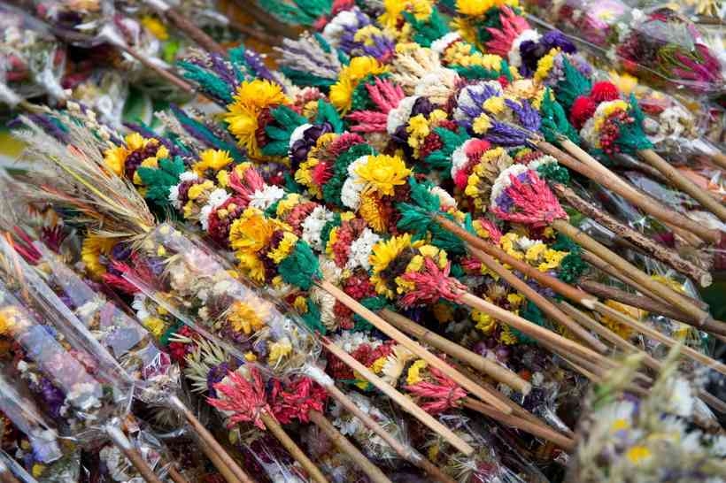 Fot. PAP/Valdemar Doveiko