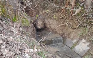 Fot. Facebook/ OSP Kalwaria Zebrzydowska