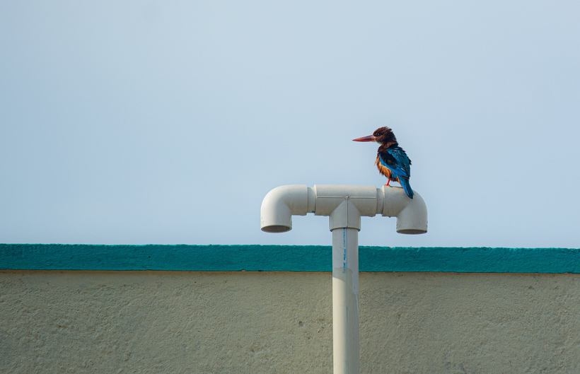 Fot. materiał prasowy reklamodawcy