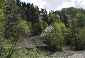 Fot. joomla.wadowice24.promo-peak.ovh