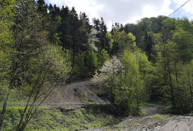 Fot. joomla.wadowice24.promo-peak.ovh