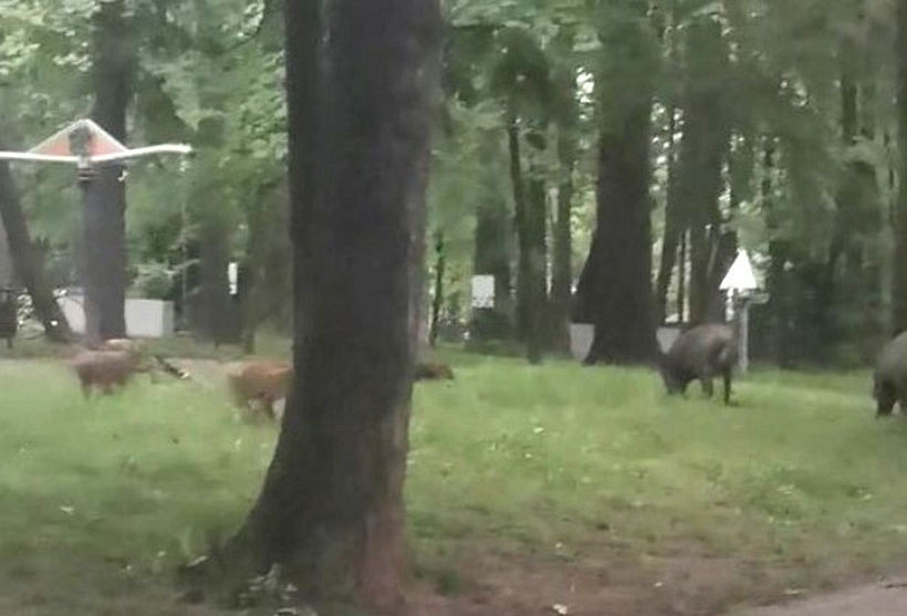 Fot. Facebook / Magda Firczyk-Kania