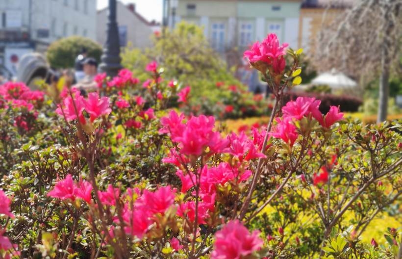 Fot. Angelina Rokowska