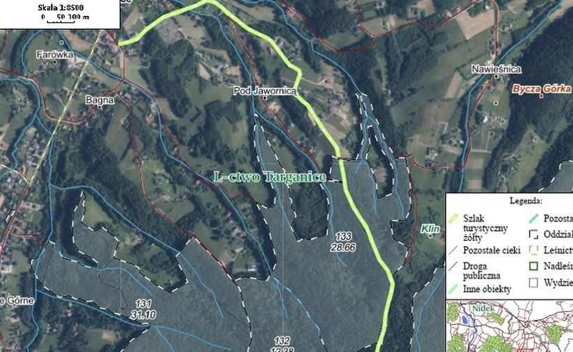 Fot. materiał prasowy Nadleśnictwo Andrychów