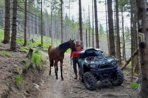 Fot. Stajnia pod Babią Górą Dyzma