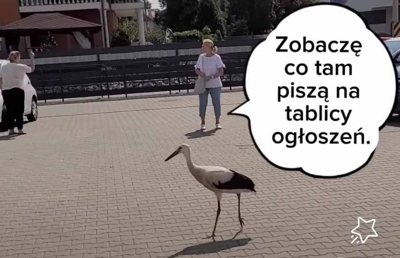 Fot. Facebook/ Mariusz Krystian