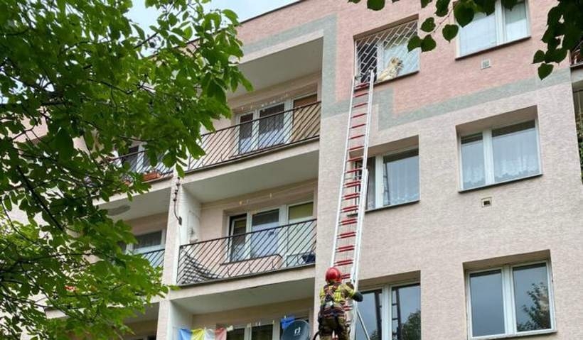 Fot. Nowiny Andrychowskie/ czytelnik