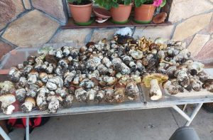 Fot. Facebook/ joomla.wadowice24.promo-peak.ovh/ Sebastian