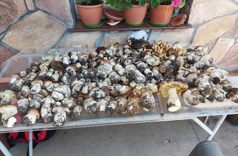 Fot. Facebook/ joomla.wadowice24.promo-peak.ovh/ Sebastian