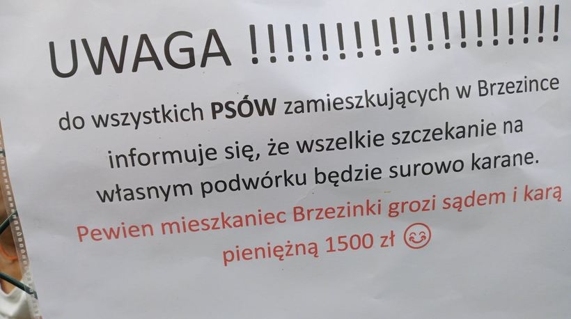 Fot. Facebook/ Sześcian