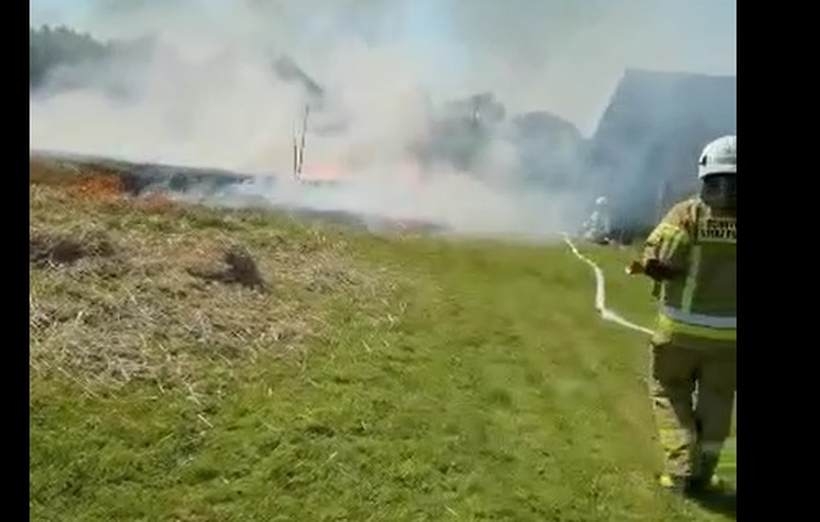 Fot. kadr z nadesłanego filmu