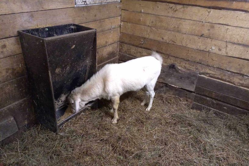 Fot. Facebook/ Wadowice