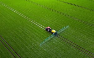 Fot. materiał prasowy reklamodawcy