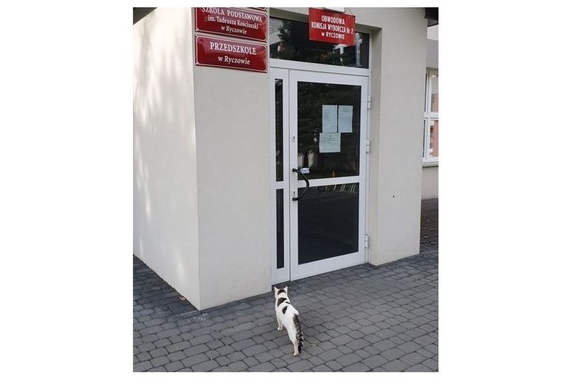 Fot. Facebook/ Ryczow.pl - strona miejscowości Ryczów