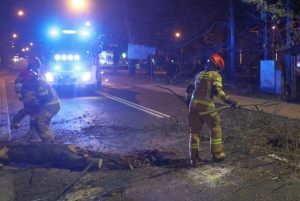 Fot. PAP/Grzegorz Momot