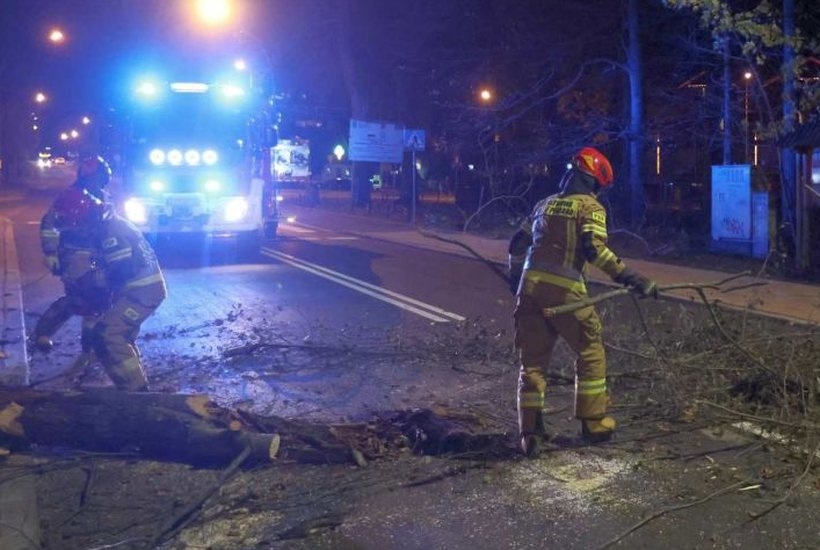 Fot. PAP/Grzegorz Momot