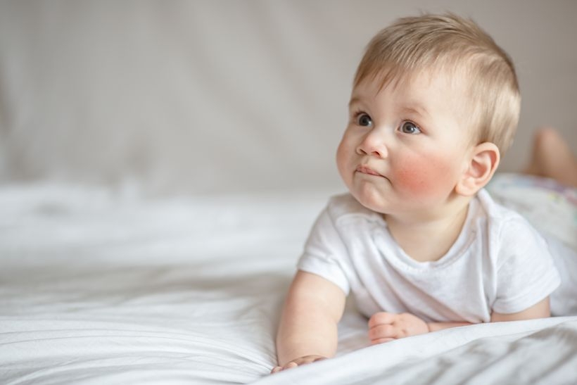 Fot. materiał prasowy reklamodawcy