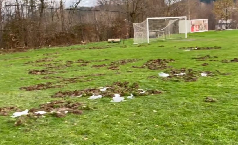 Fot. Nowiny Andrychowskie