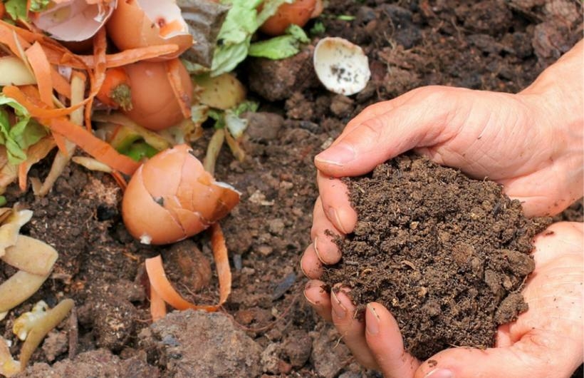 Fot. Biuro Prasowe UMWM