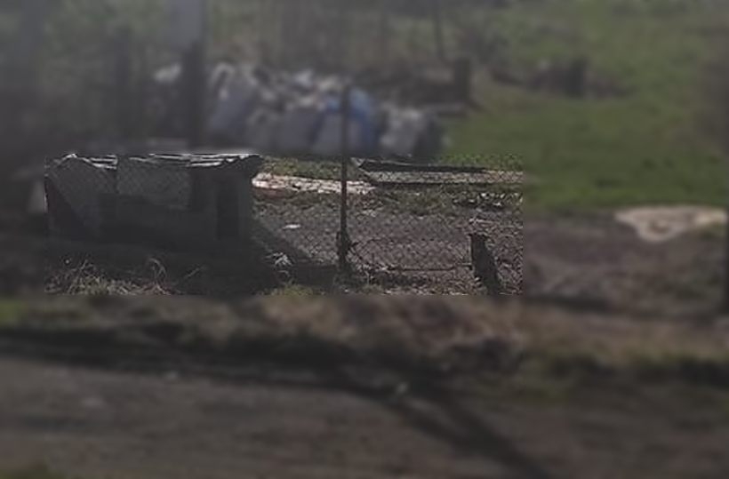 Fot. Facebook/ Wadowice zwierzęta zgubione....