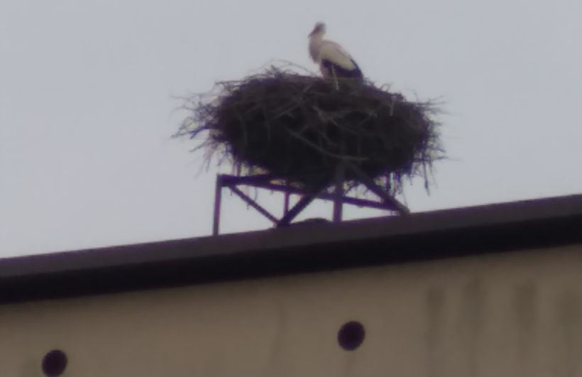 Fot. Facebook/ KSRG OSP Spytkowice