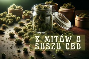 Fot. materiał prasowy reklamodawcy