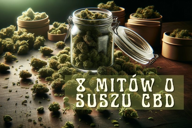 Fot. materiał prasowy reklamodawcy