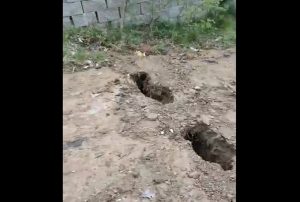 Fot. kadr z filmu pana Wiesława Stwory